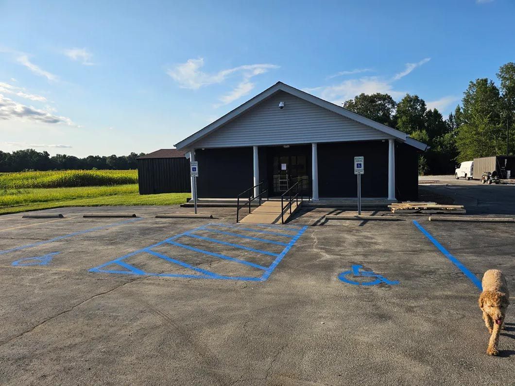 A dog is standing in front of a building in a handicapped parking lot.