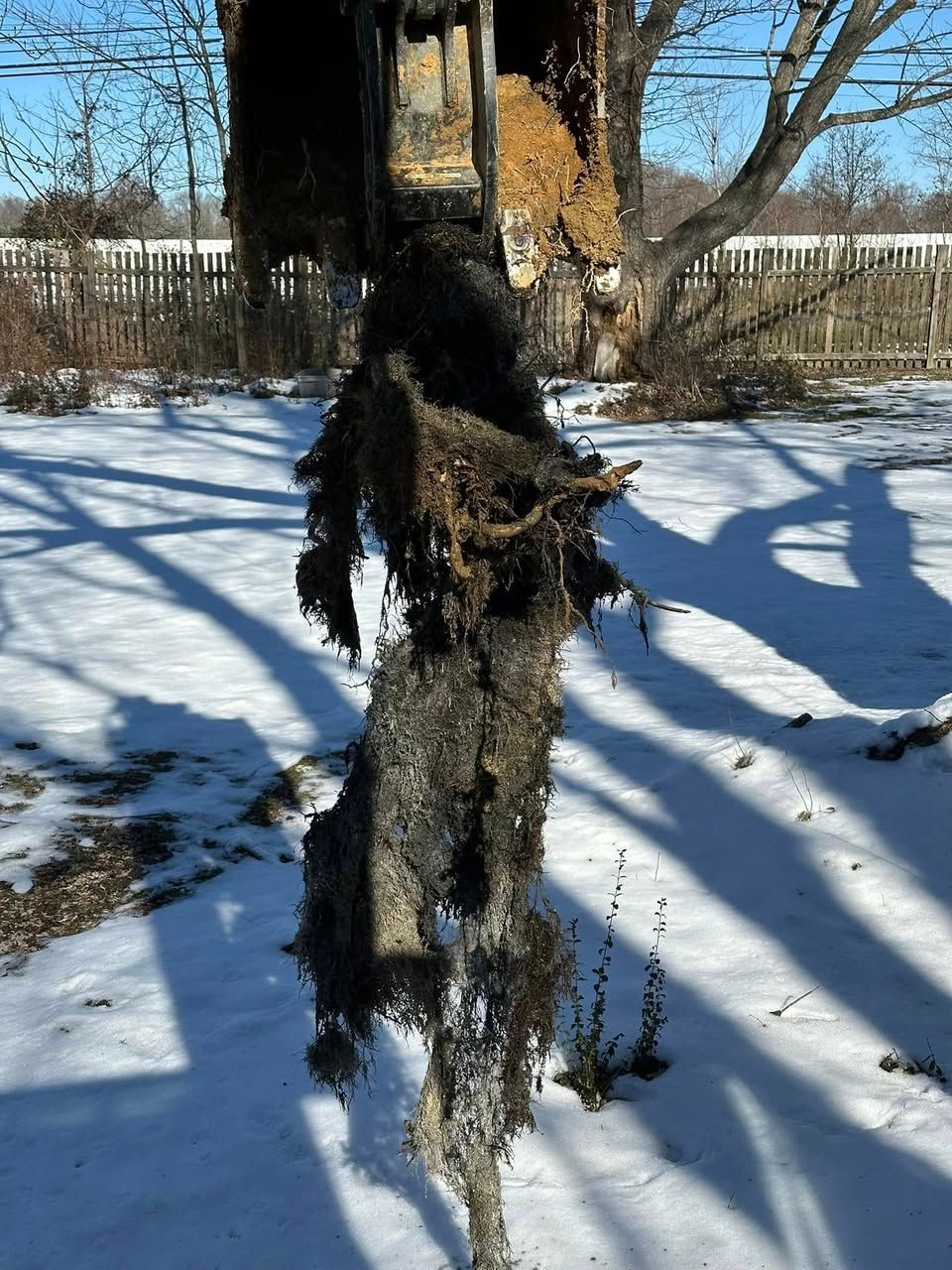 A tree stump in the snow with a fence in the background