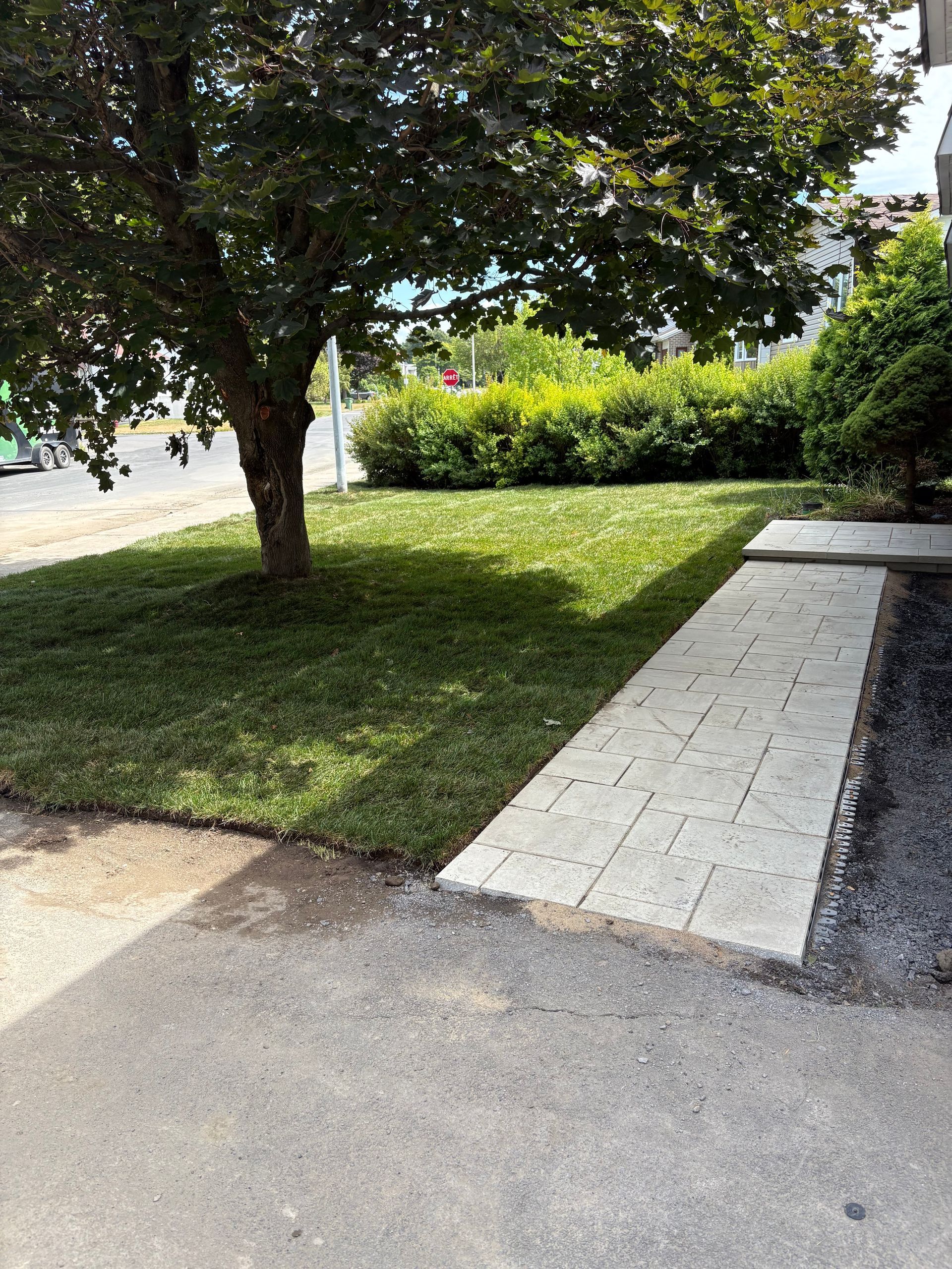 Un arbre projette une ombre sur une pelouse verte à côté d'un chemin pavé de couleur claire.
