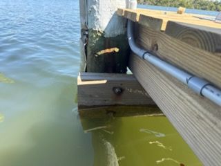 Wooden dock piling and railing beside green-blue water, with a metal pipe along the edge.