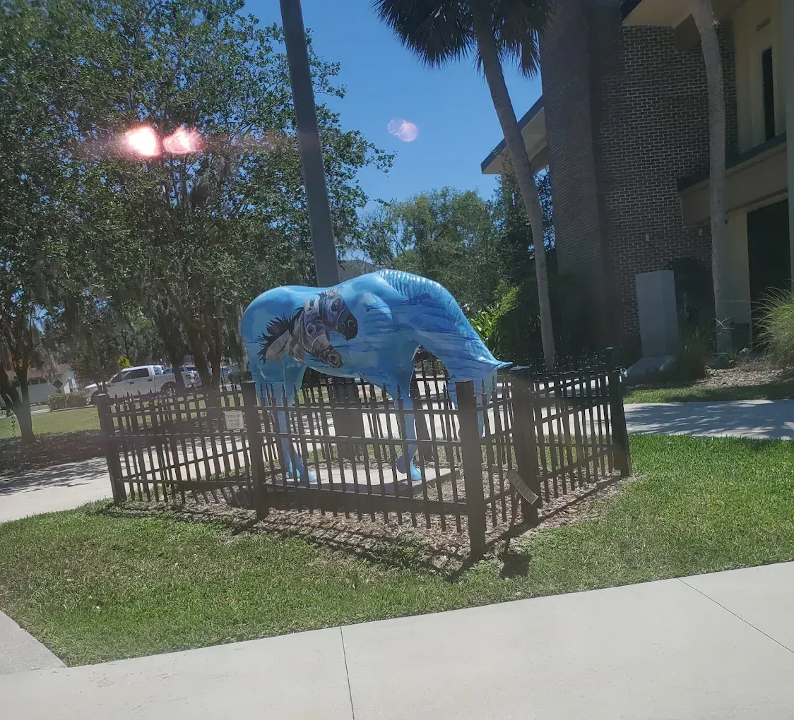 Fiber Optic Cabling in Ocala, FL
