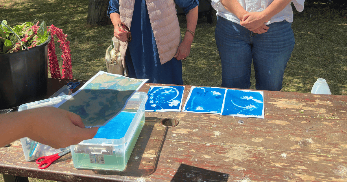 Cyanotype artwork was a hit