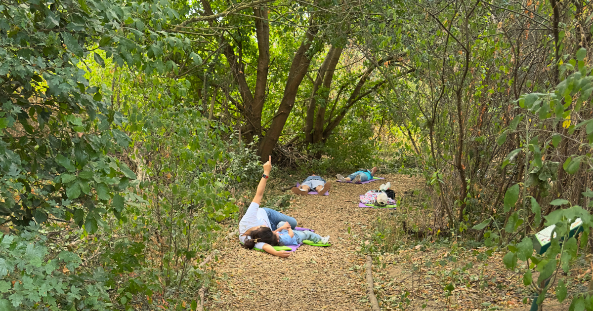People lying down on mats looking up at the trees on the woodland path