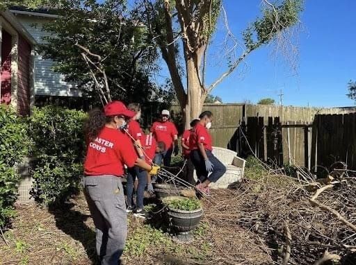 Workers in red shirts clearing debris and branches in a sunny backyard