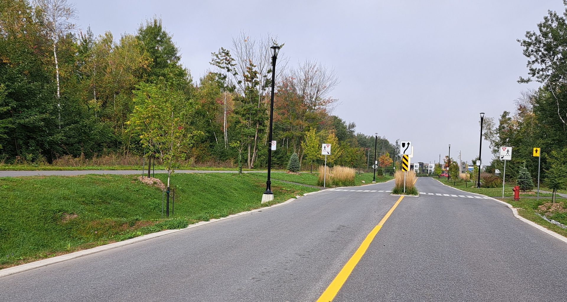 Chemin de gravier avec une ligne centrale jaune, bordé d'herbe, d'arbres et de lampadaires. Ciel couvert.