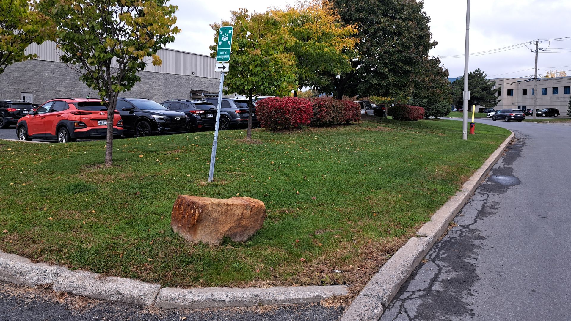 Terre-plein central herbeux avec un gros rocher, des arbres et des voitures garées le long d'un trottoir.