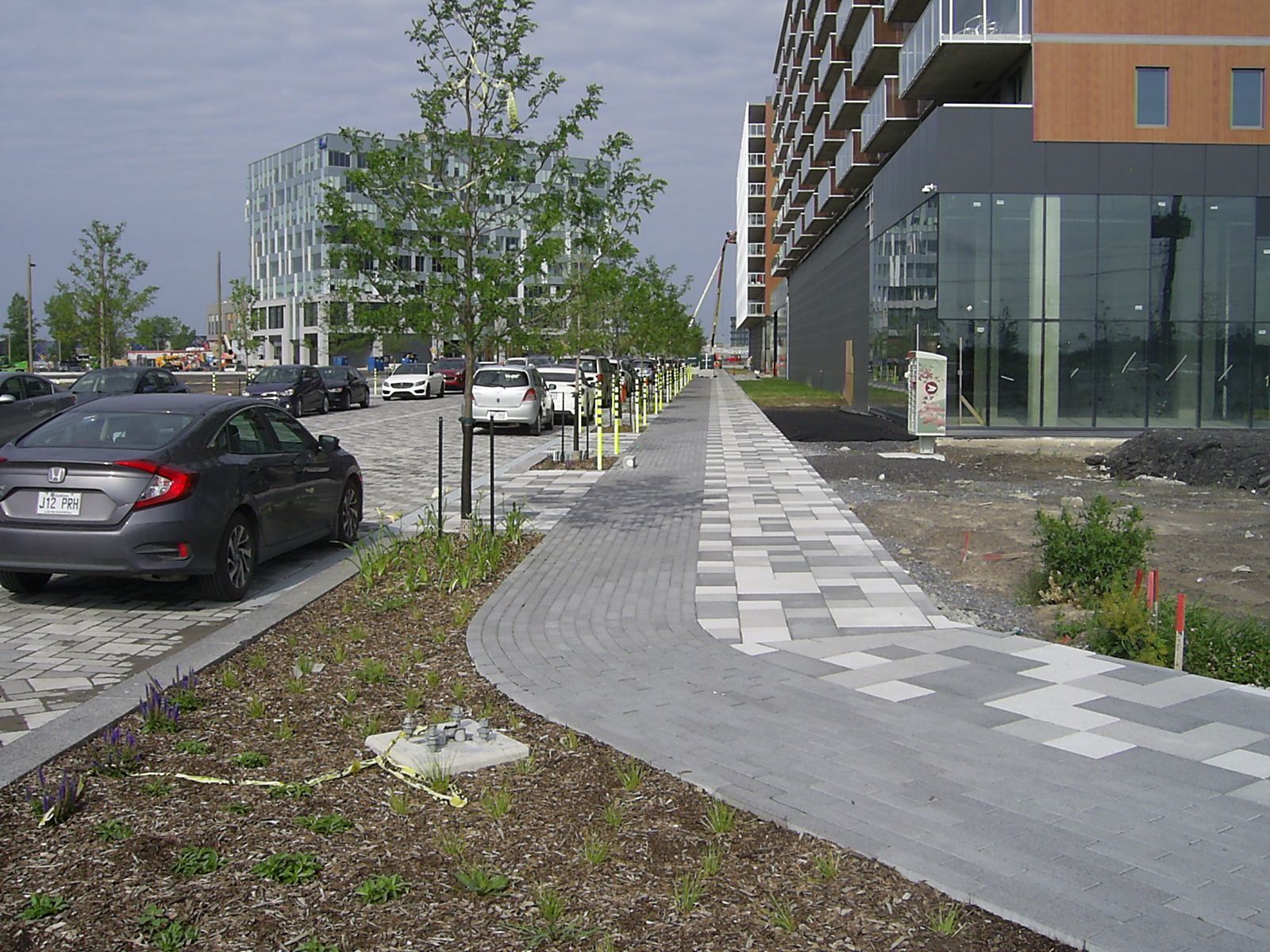 Trottoir en pavés gris bordé de jeunes arbres, jouxtant un parking et un bâtiment moderne.