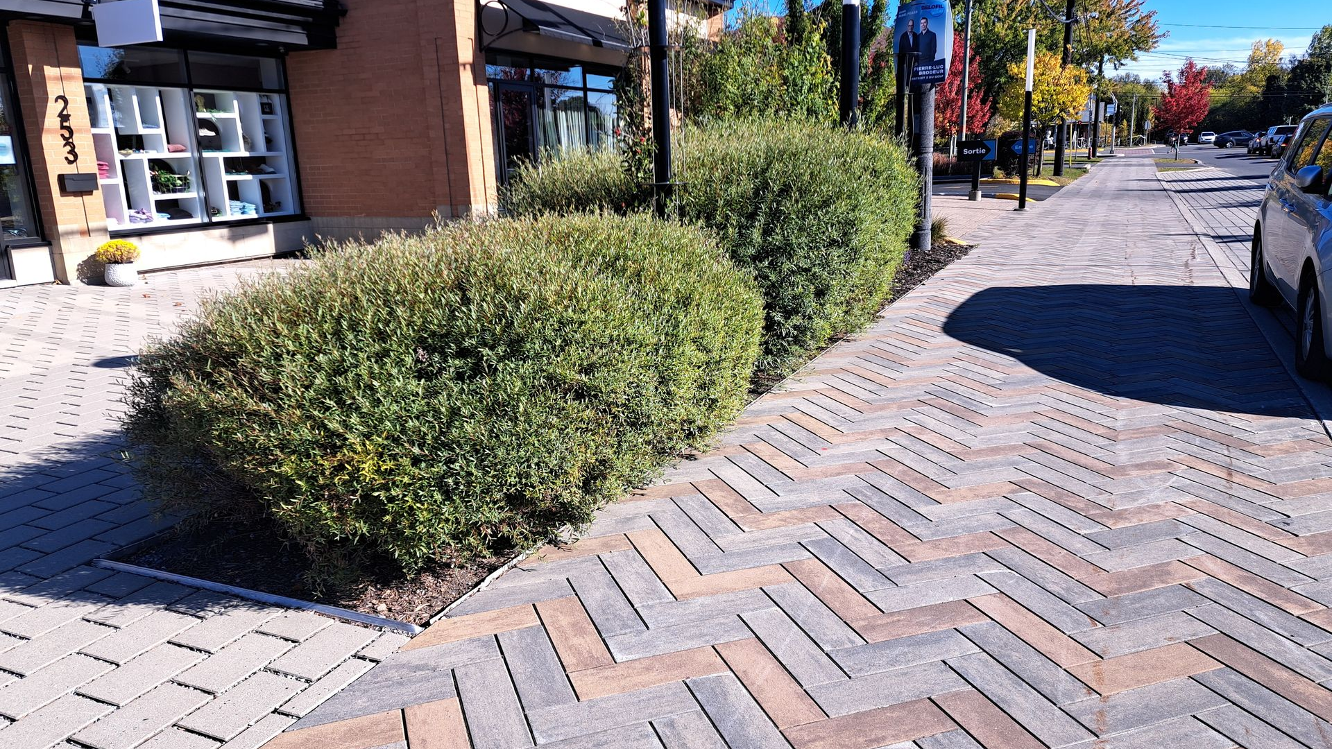 Des buissons bordent un trottoir en briques à côté d'un bâtiment aux fenêtres vitrées.