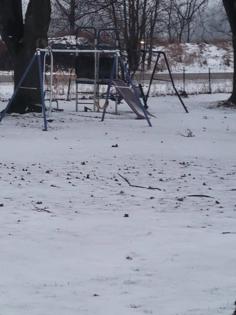 Snow-covered backyard with a metal swing set and leafless trees in winter.