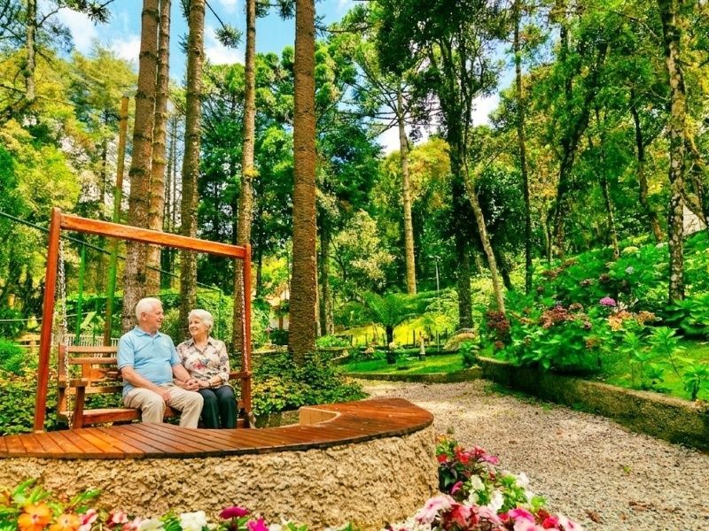 Um terraço externo luminoso com dois guarda-sóis, mobiliário de jardim e um corrimão branco com vista para uma floresta exuberante sob um céu azul.