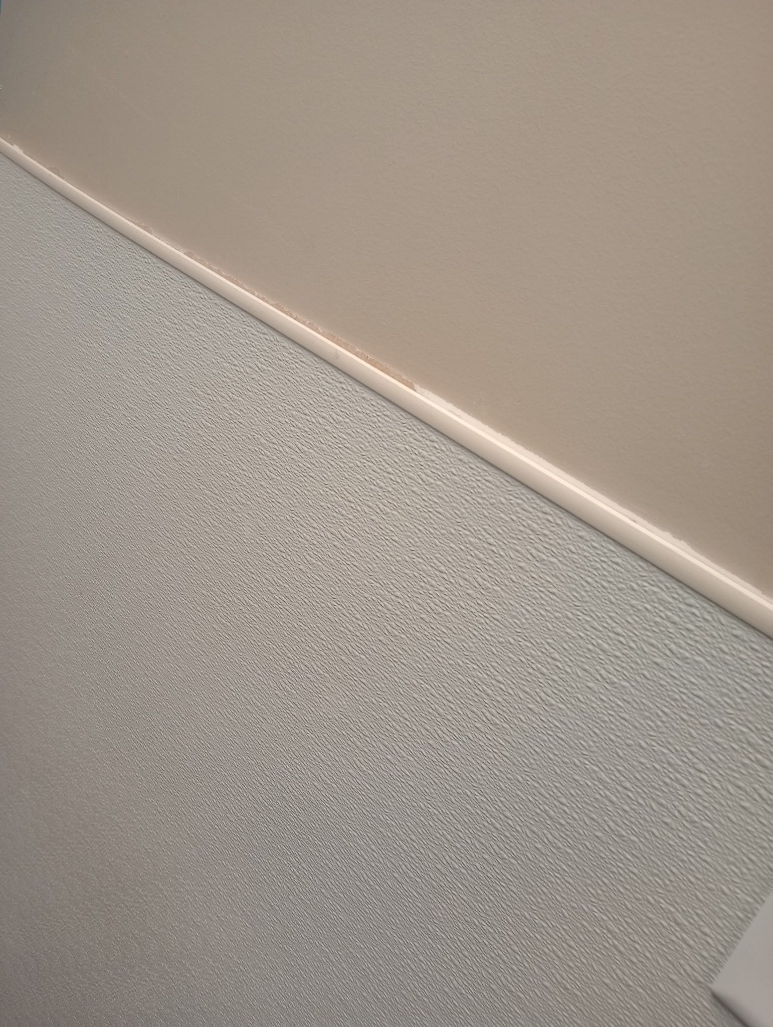 Close-up of a beige wall meeting a speckled gray carpet with white baseboard trim.