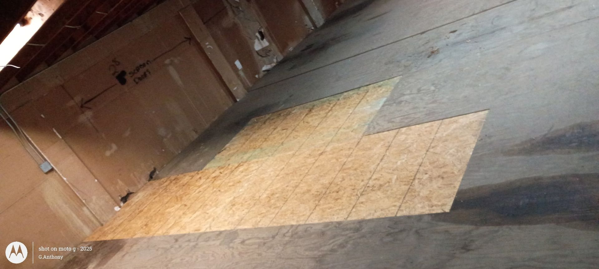 Wooden ramp leading into a barn or shed, with plywood floor and walls in a dim interior.
