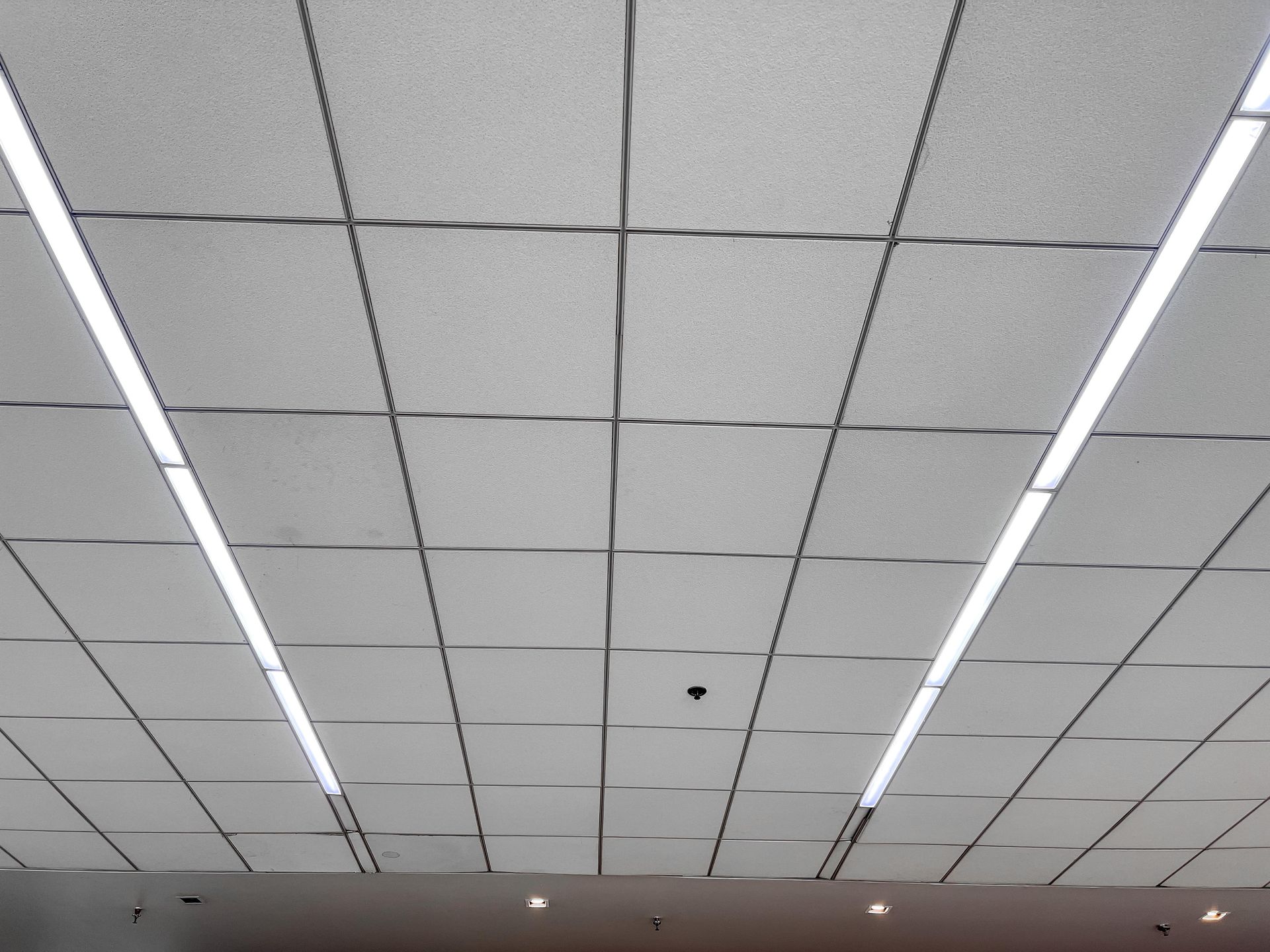 Ceiling with white acoustic tiles and long fluorescent light strips in an indoor room Ceiling with white acoustic tiles and long fluorescent light strips in an indoor room