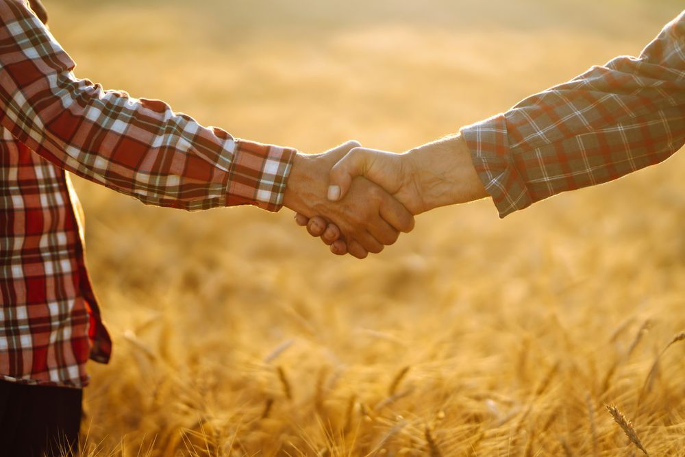 Two People Shaking Hands In A Field At Sunset — Southern Protein Systems in Glenquarry, NSW