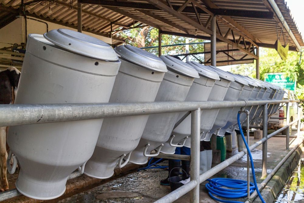 Row Of White Cylindrical Farm Tanks Under A Metal Shed — Southern Protein Systems in Glenquarry, NSW