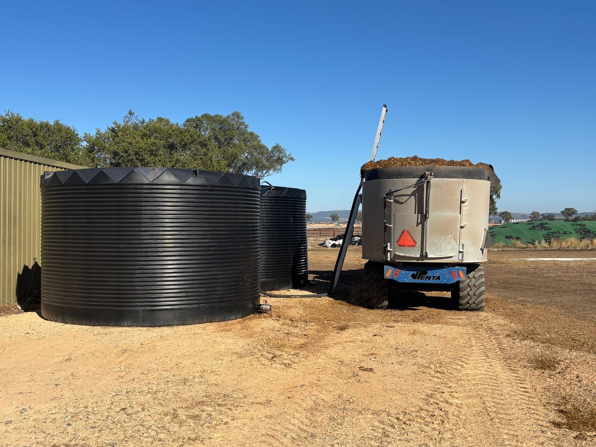 Cows Drinking From A Long Concrete Trough In A Dry Pasture — Southern Protein Systems in Glenquarry, NSW