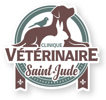 Clinique Vétérinaire Saint-Jude  logo
