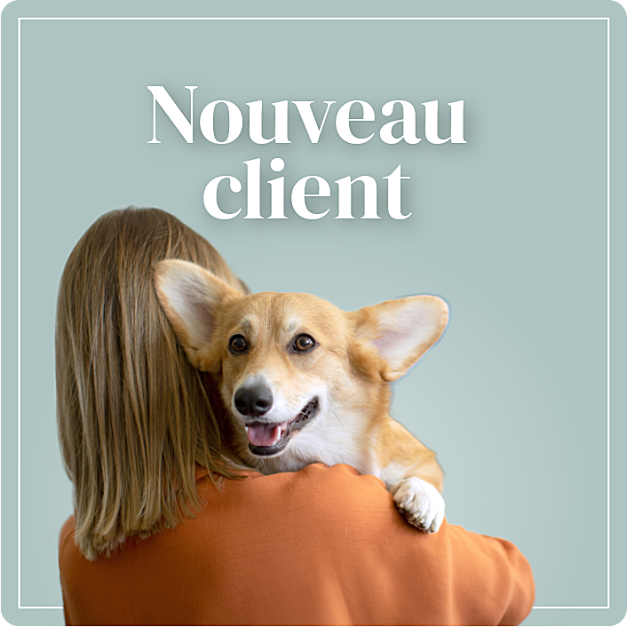 Clinique Vétérinaire Saint-Jude Nouveau client lien