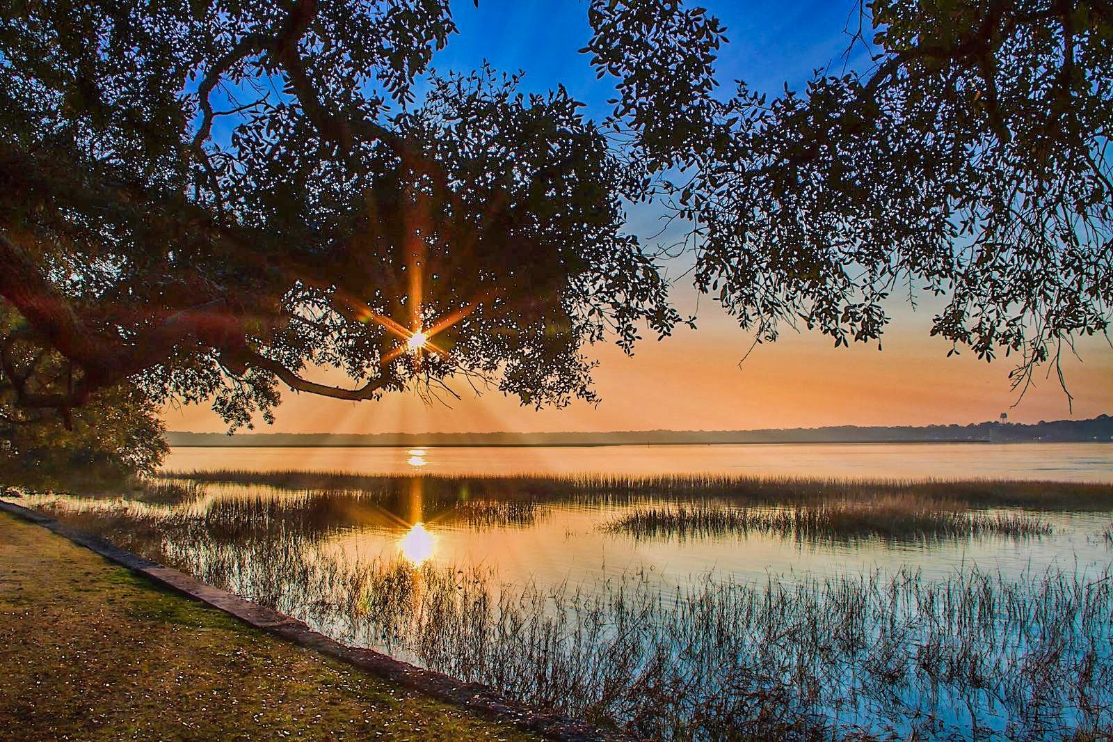 Teal Bluff image