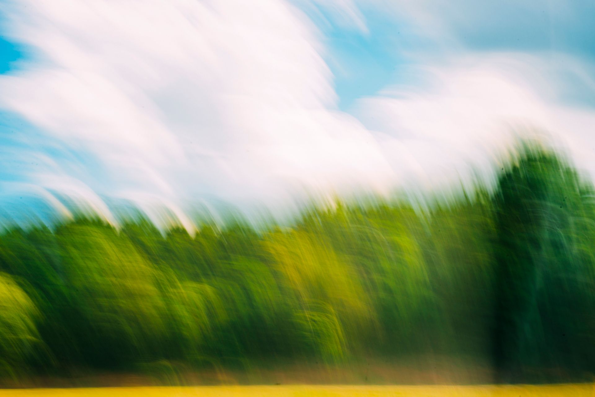 fine art image of southern landscape depicting a green field and blue sky, photographed by Asheville and coastal Carolina artist Sandlin Gaither