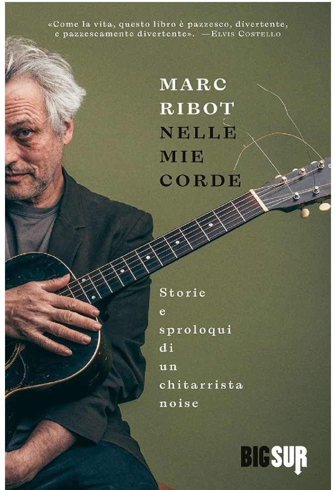 Marc Ribot's autobiography cover, Nelle Mie Chord, photographed at the Grey Eagle Music Hall in Asheville, NC by music photographer Sandlin Gaither 