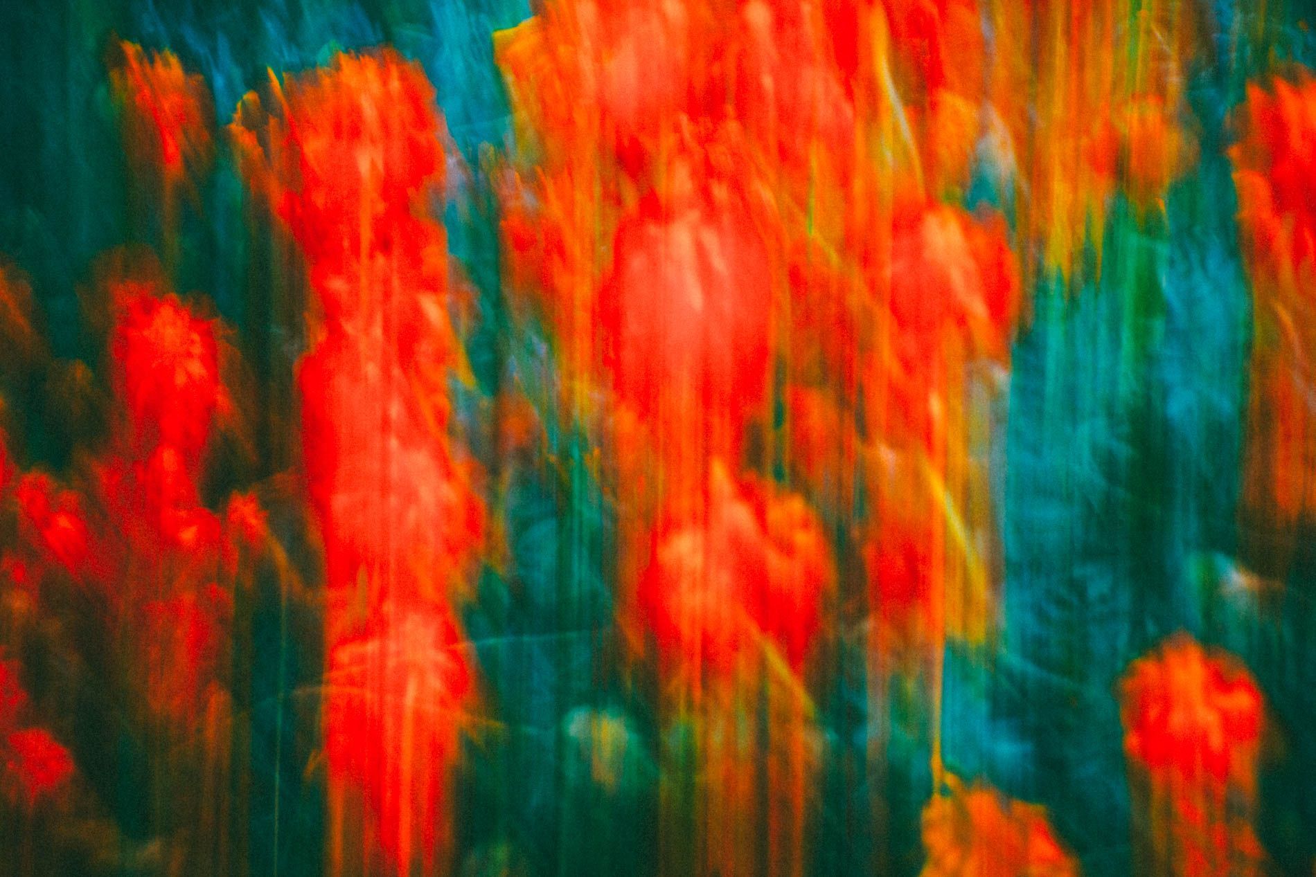 Abstract blurred red, orange, teal, and green vertical streaks resembling a colorful forest scene, fine art prints from Asheville photographer Sandlin Gaither 