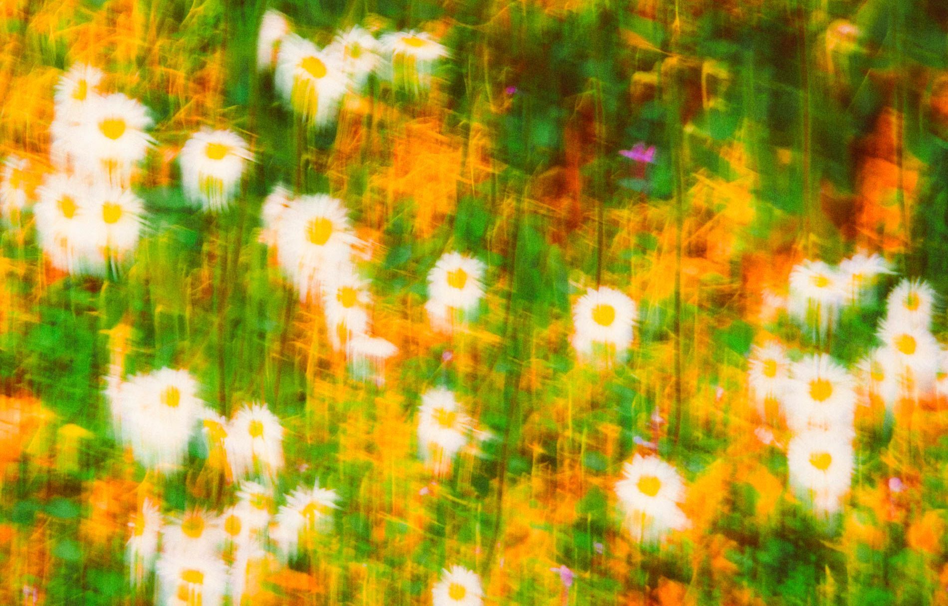 fine art prints of color and motion by asheville photographer and artist sandlin gaither 