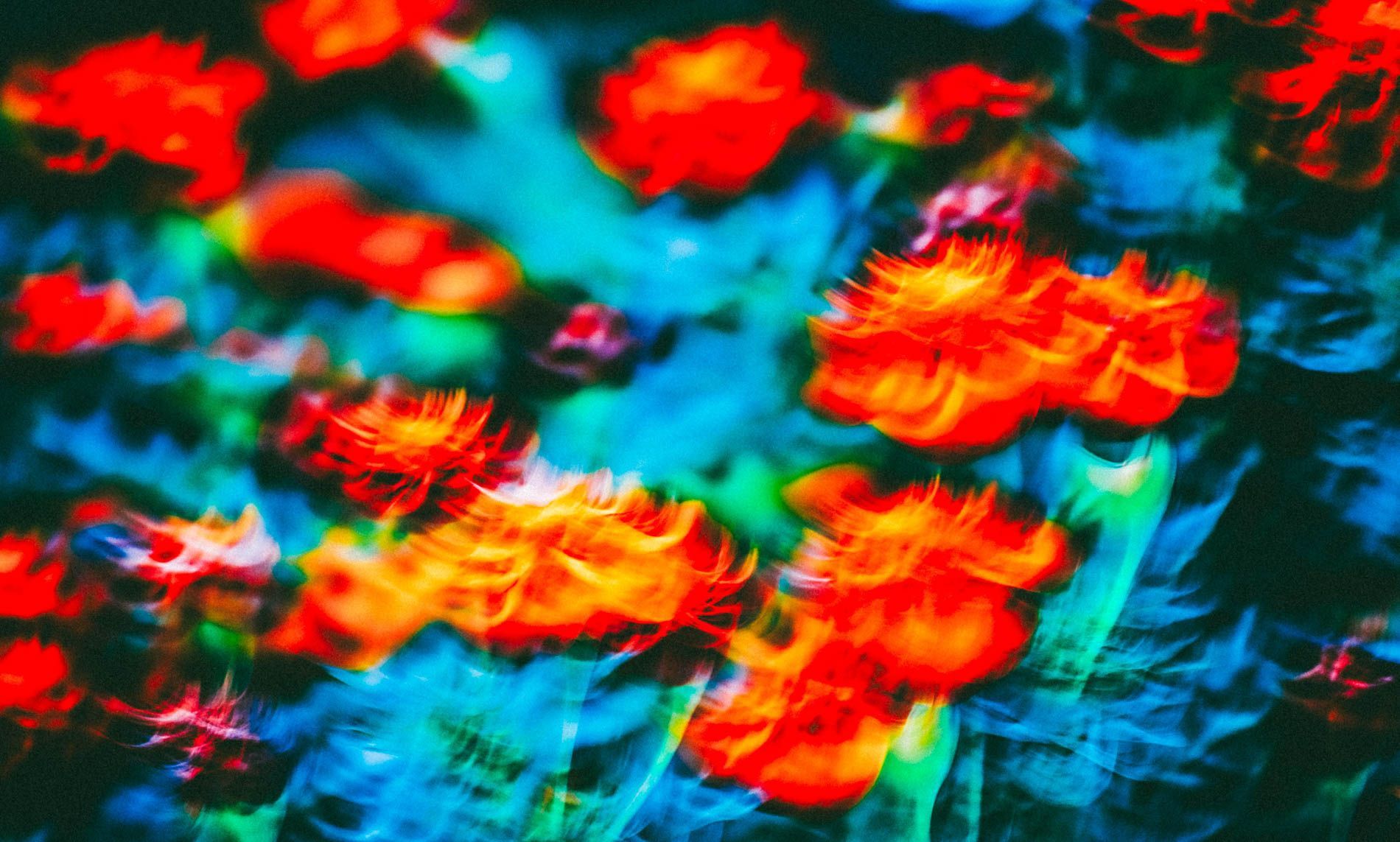 fine art prints of color and motion by asheville photographer and artist sandlin gaither 