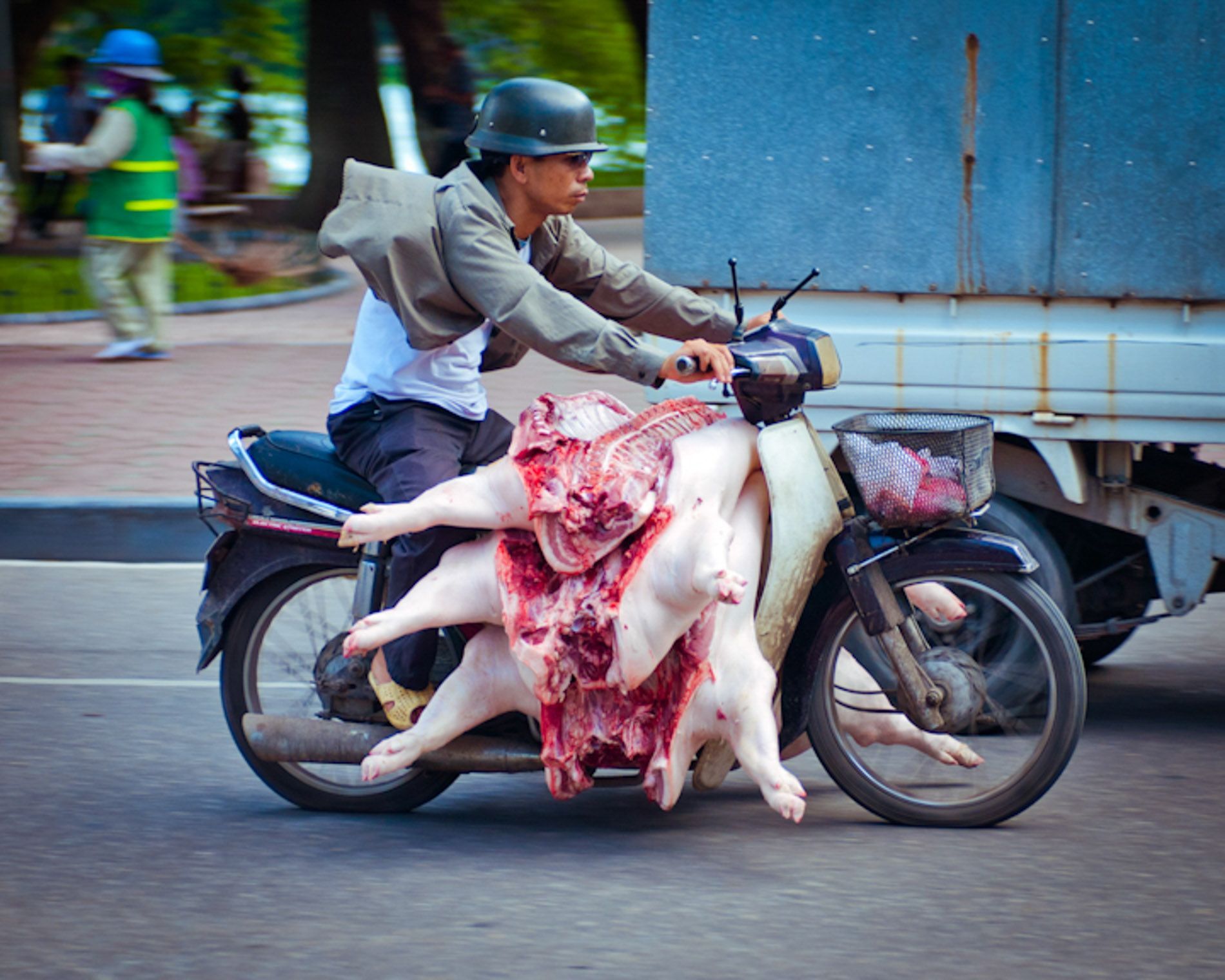 motorbiker with pigs for the market, Old French Quarter, Hanoi, Vietnam, small group travel and food photography tours with Sandlin Gaither Explorer's Club