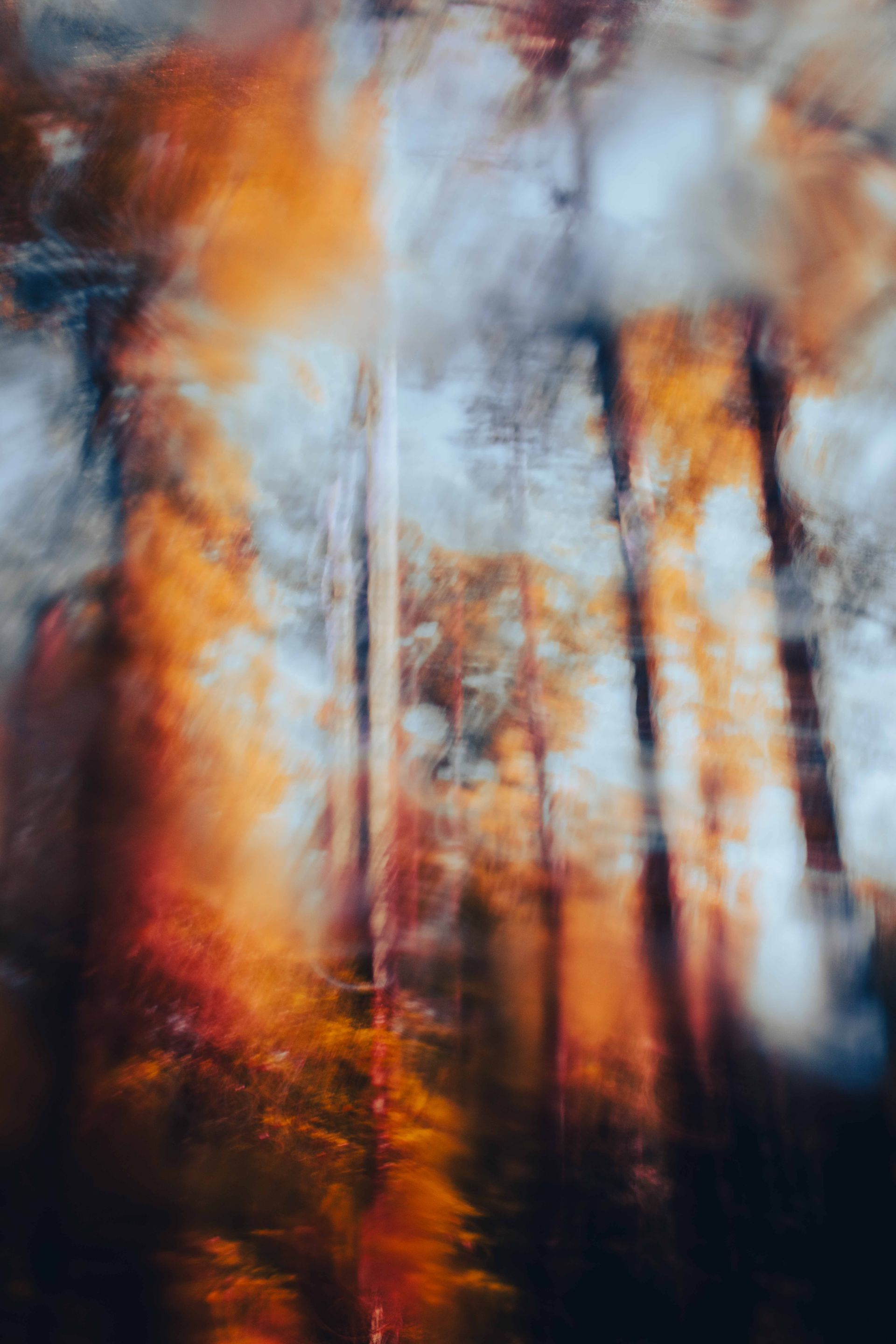 fine art prints of color and motion by asheville photographer and artist sandlin gaither 