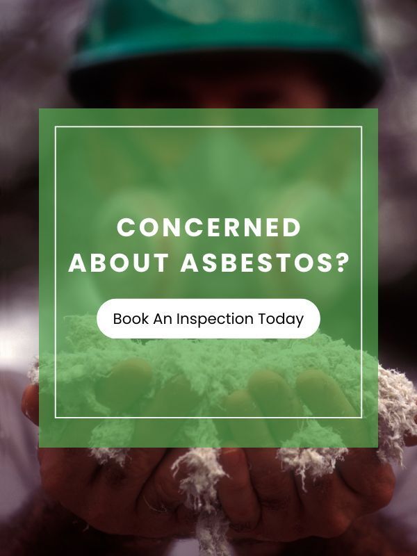 Person holding asbestos with green square: