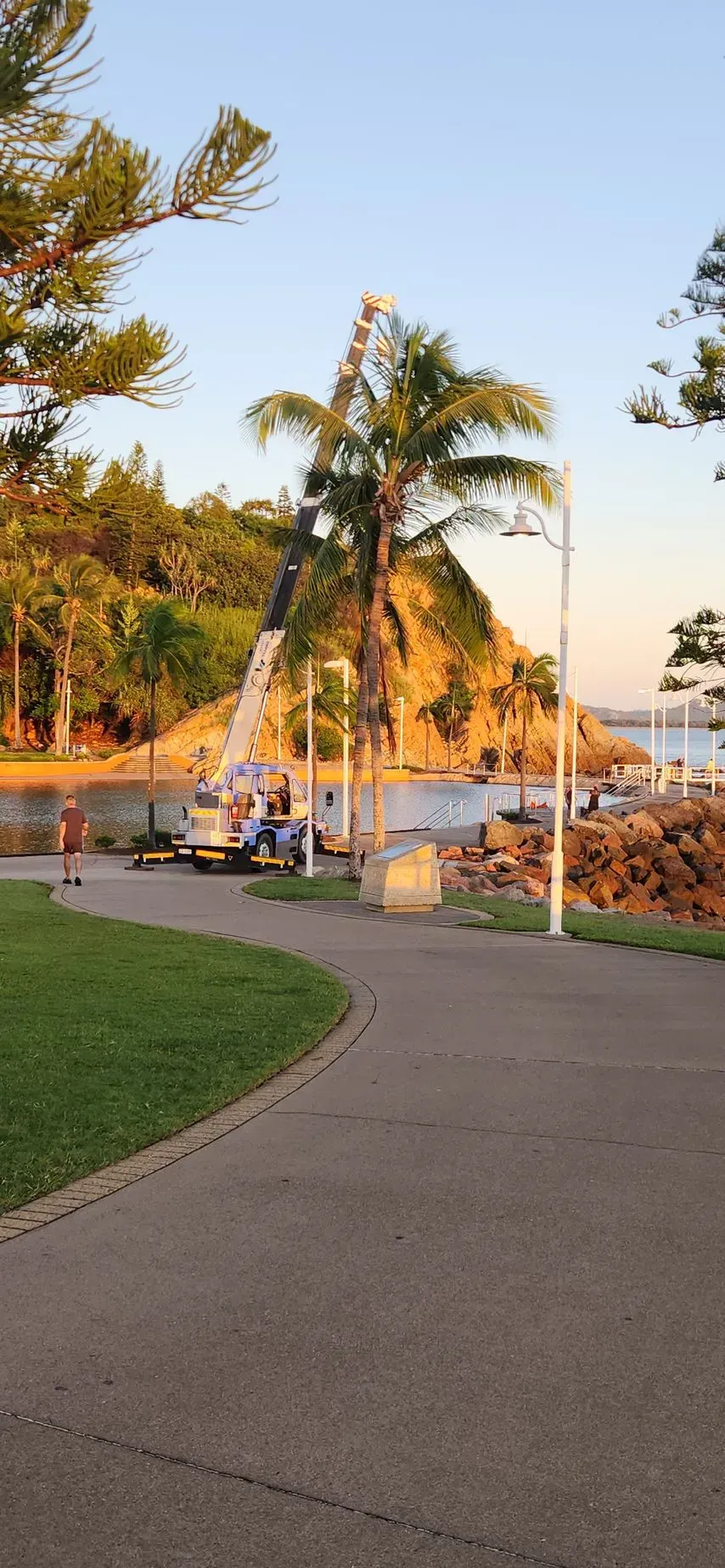 A Crane Trims a Palm Tree Near a Coastal Walkway — Presto's Cranes & Rigging NQ in Garbutt, QLD