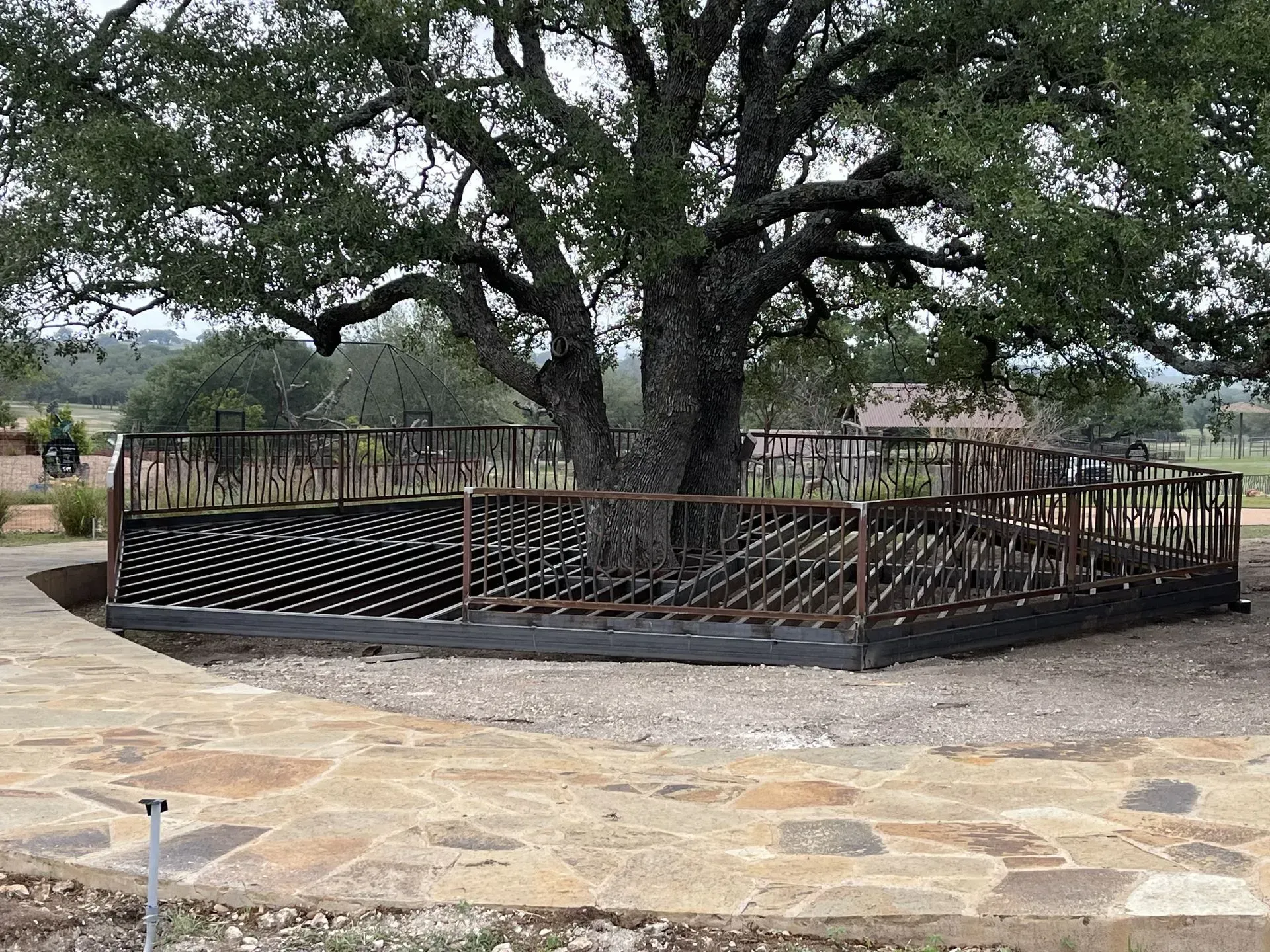 Large tree with a metal-framed bed around the base, set on a gravel and stone patio.