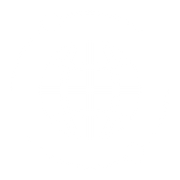 worldwide-icon