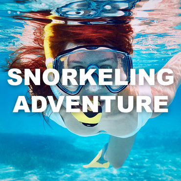 Snorkeling Adventure