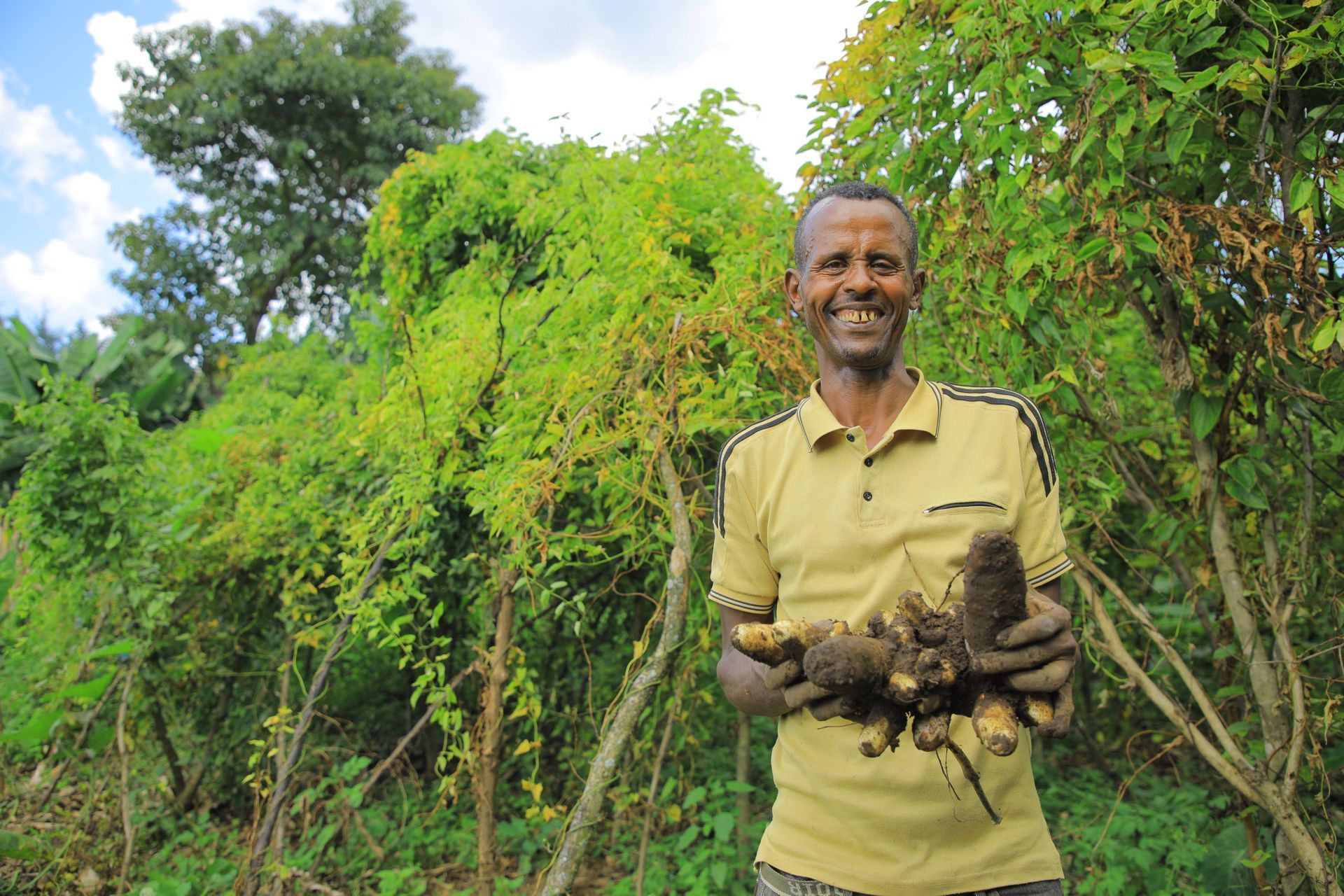 Zewde and his productive yams