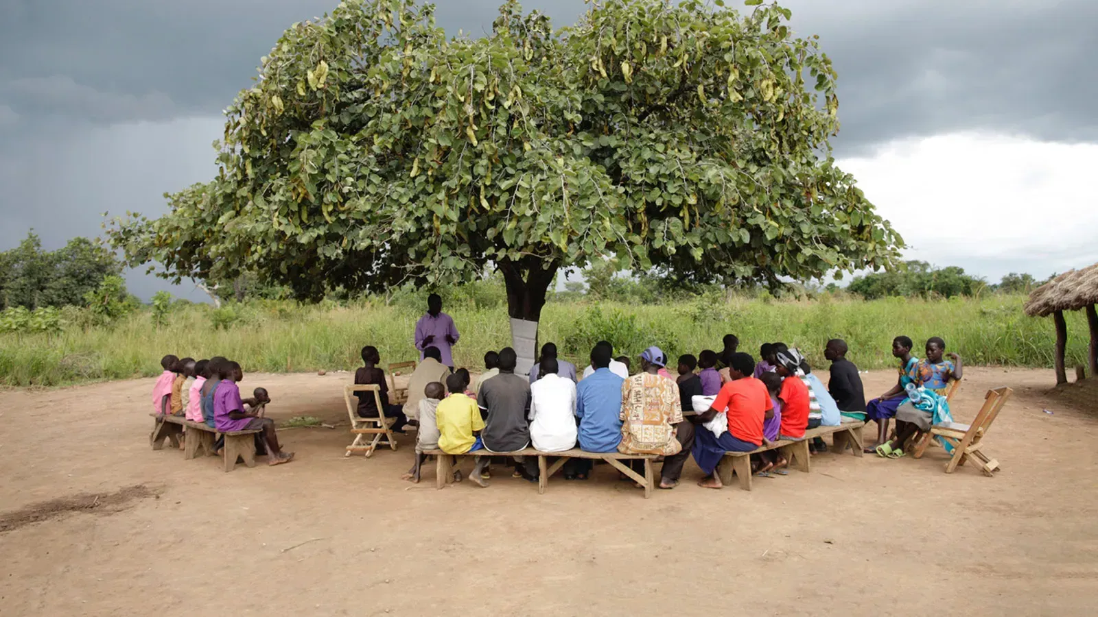 People sit in a circle under a large tree listening to a person.