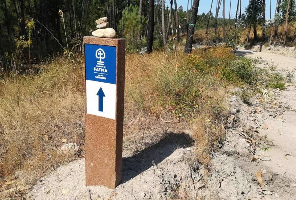 Poste de sinalização de trilha em área arborizada e seca, com placa direcional azul e branca e seta.