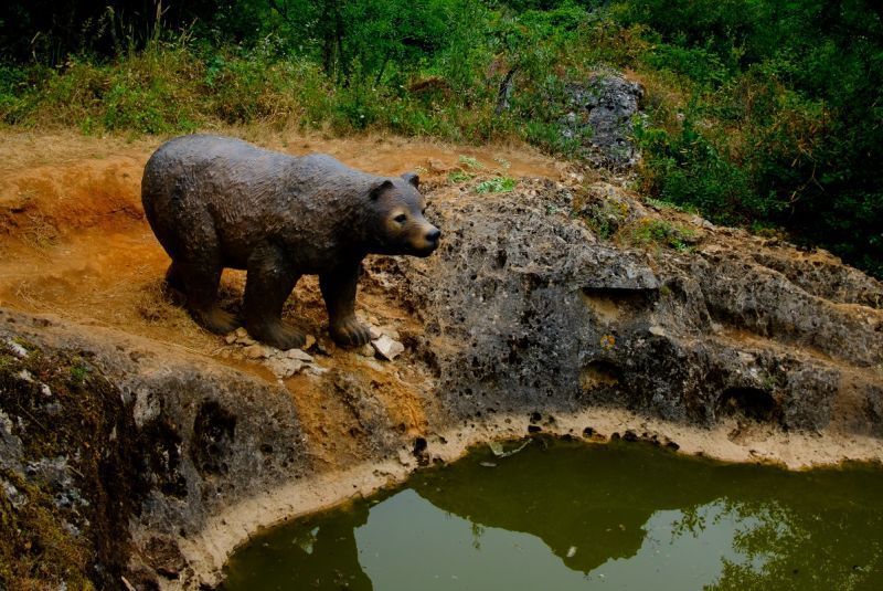 Urso pardo em pé sobre um barranco rochoso ao lado de um lago verde em um recinto florestal.
