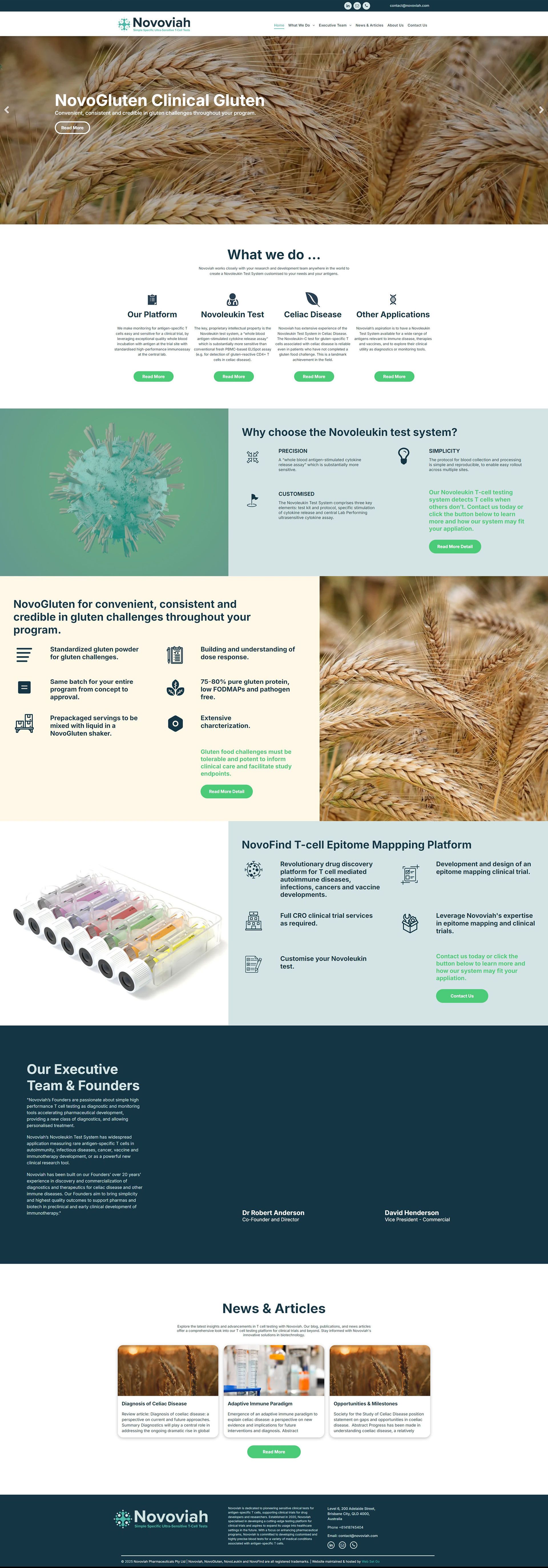 Web Set Go Novoviah Example