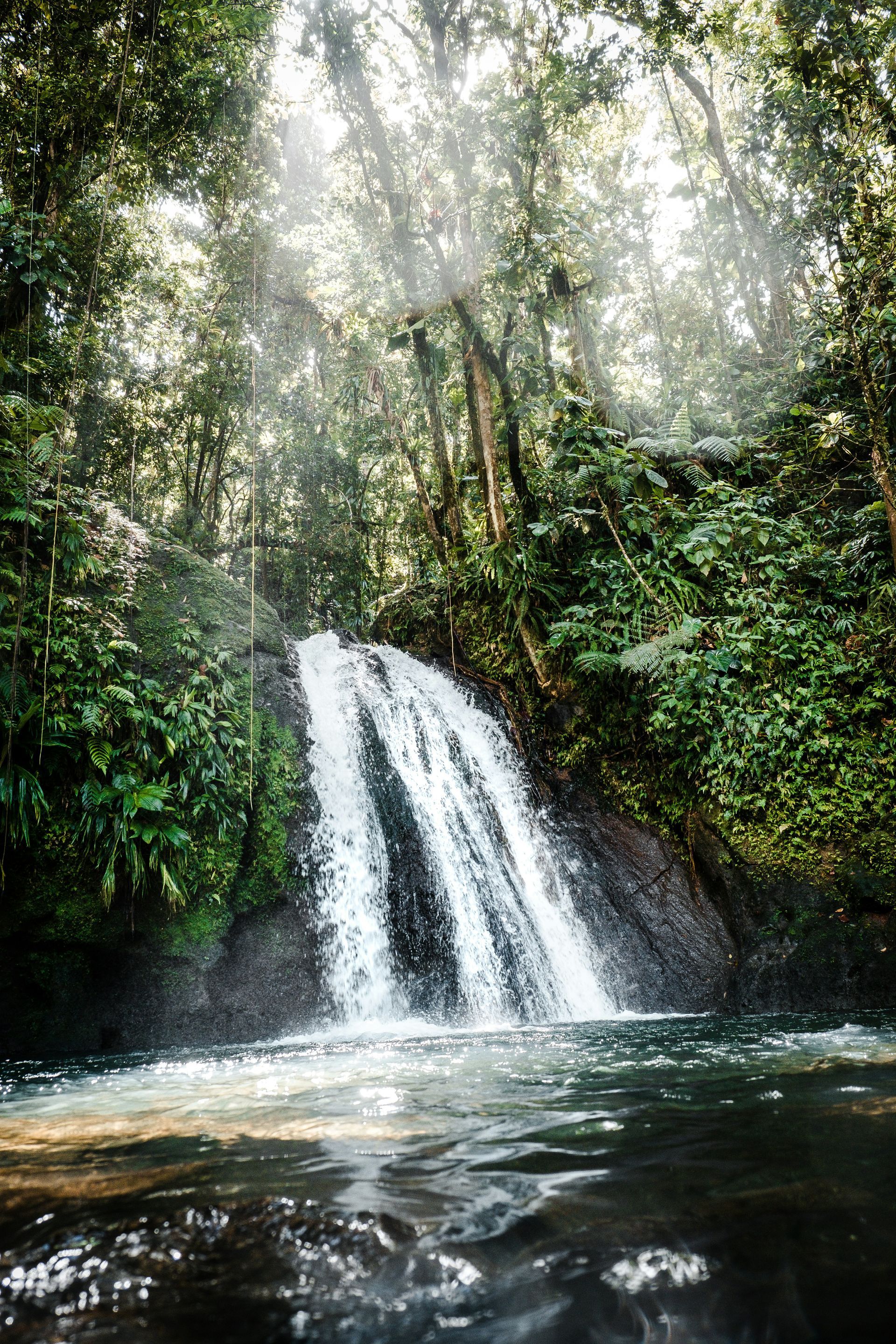 Waterfall cascading into a pool in a lush tropical forest, with sunlight filtering through the trees