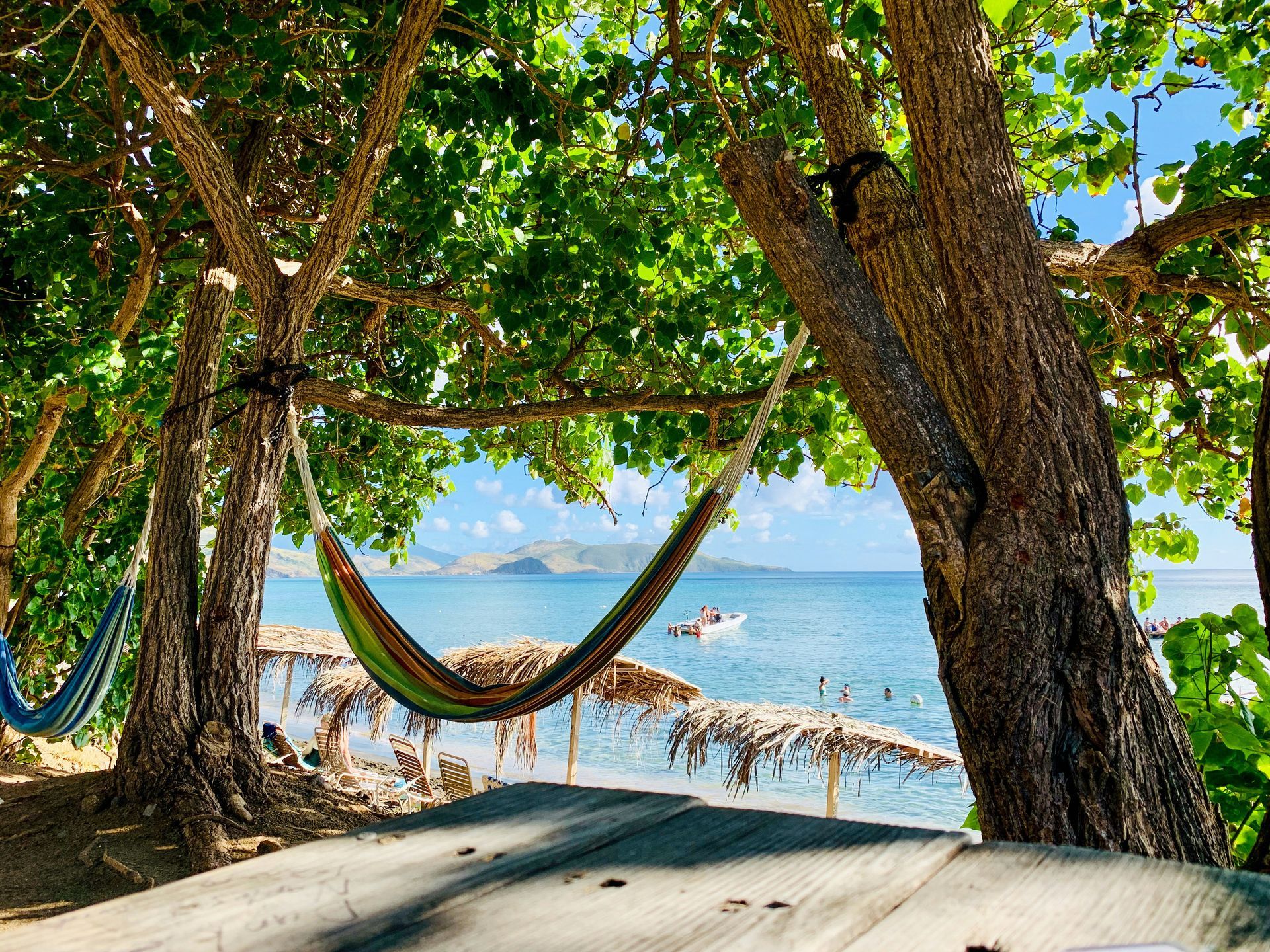 Hammocks hanging between trees beside a sandy beach with turquoise water and blue sky