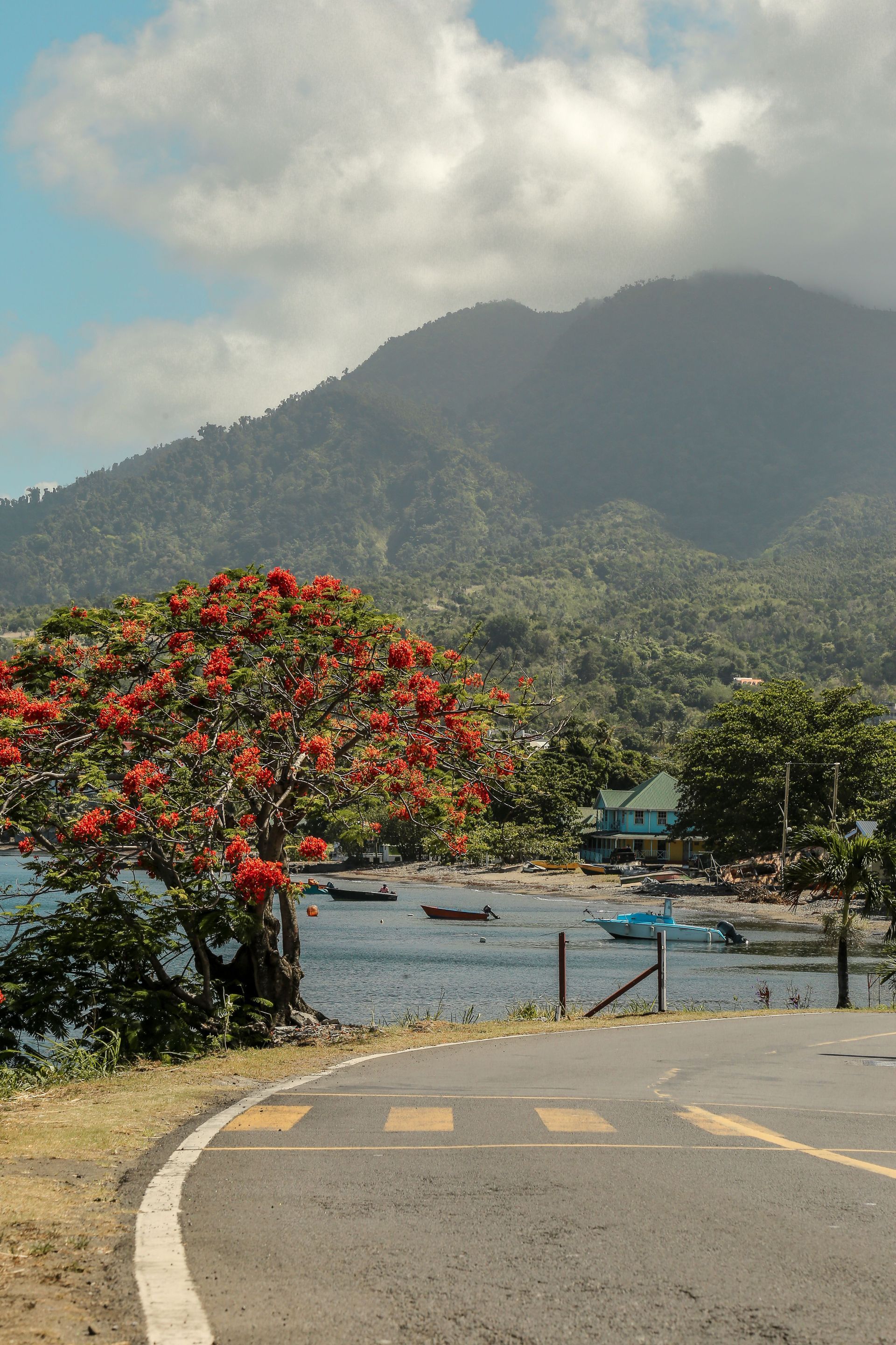 Curved road by a lake, with red flowering tree, boats, and misty mountains in the background