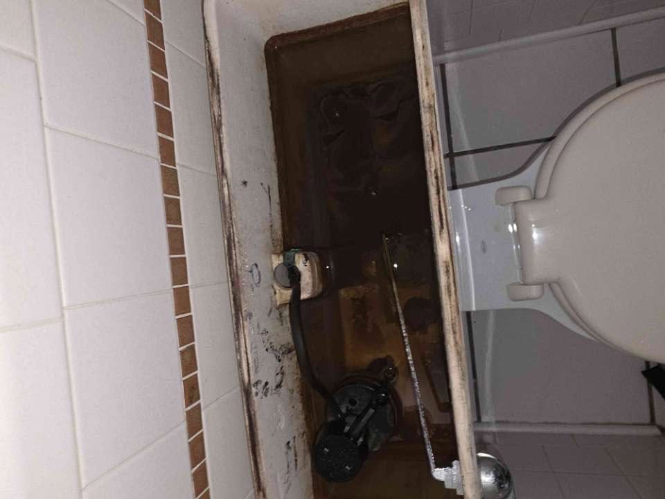 Small bathroom with a toilet, open stall door, and dark debris on the floor