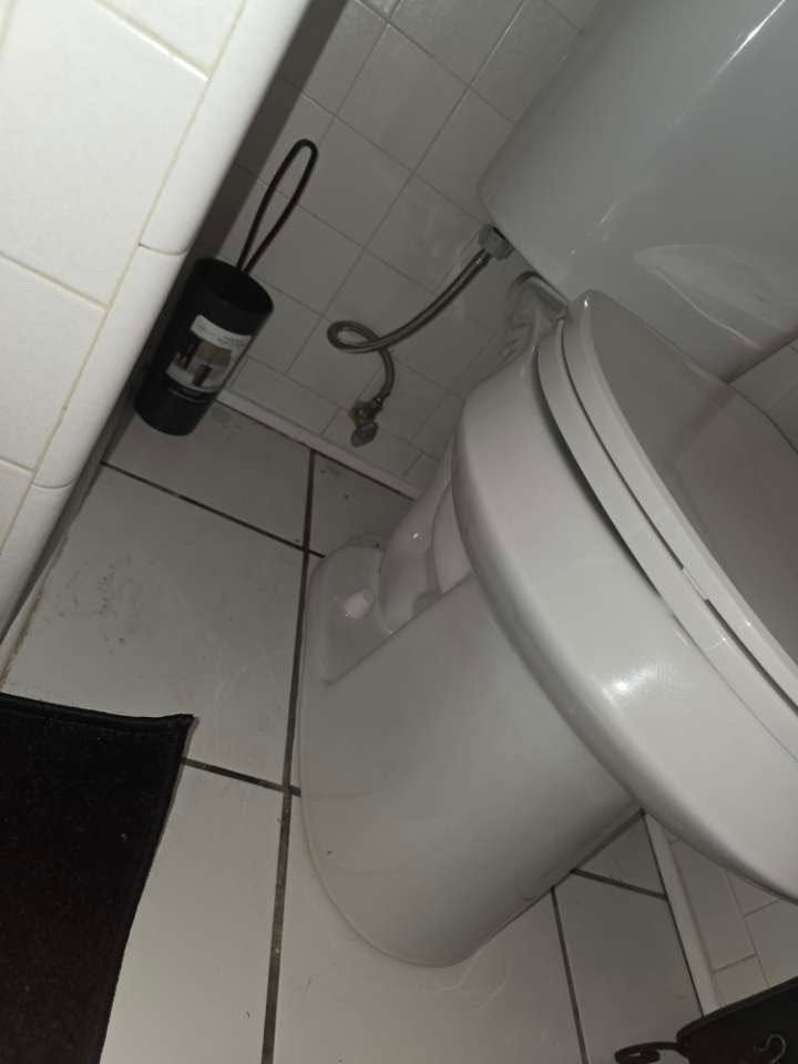 Small bathroom with a white toilet, tiled floor and walls, a black toilet brush holder, and a shower hose on the wall.