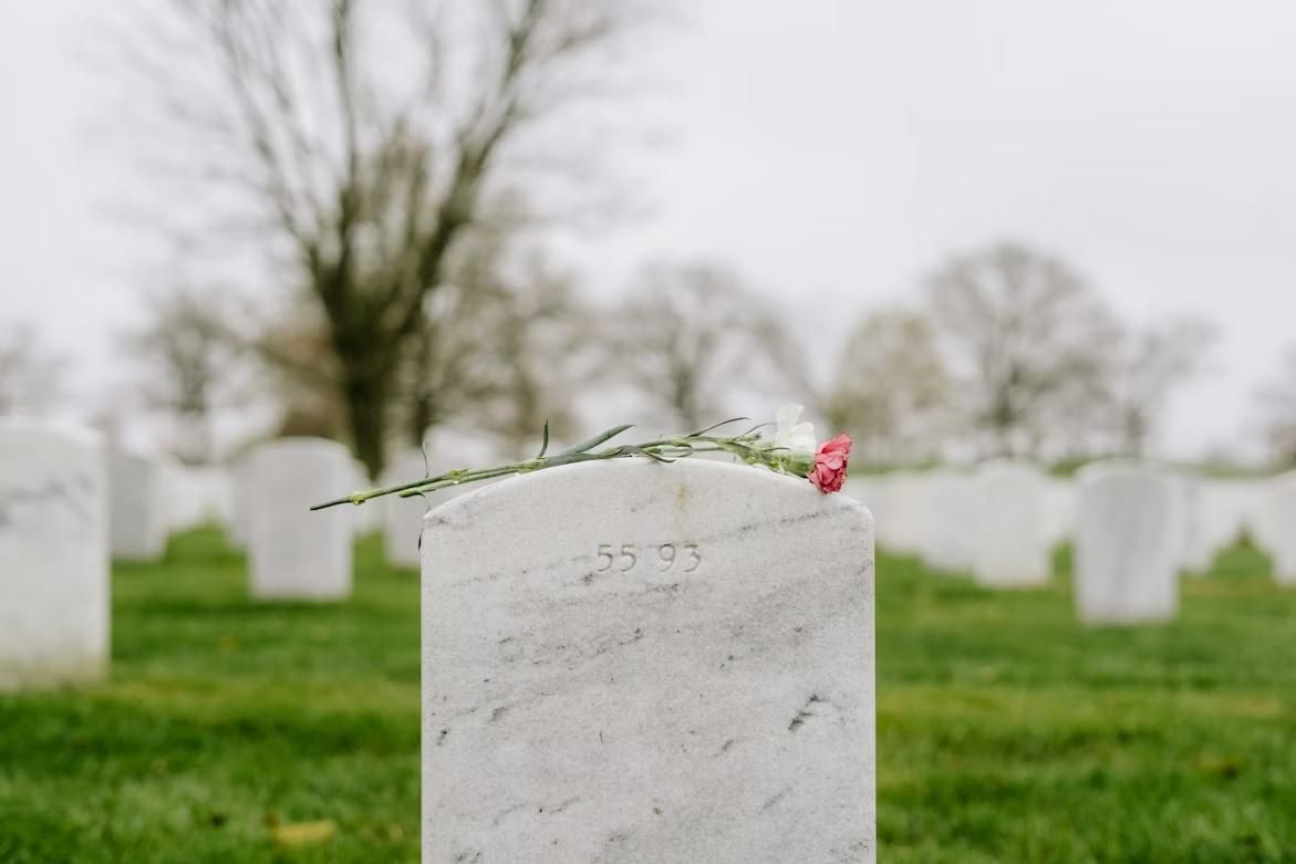 Single flower resting on a gravestone in a peaceful cemetery, representing services from a funeral home and cremations Port Washington, WI.
