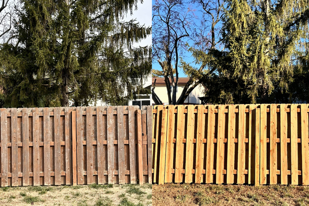 fence cleaning