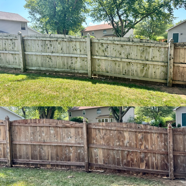 fence