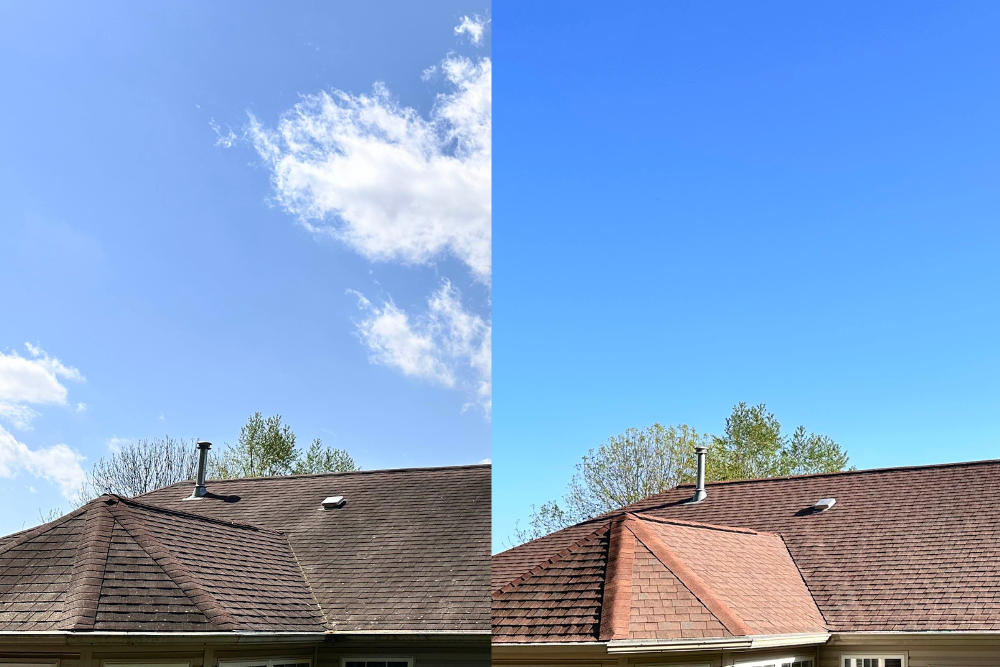 roof cleaning before/after