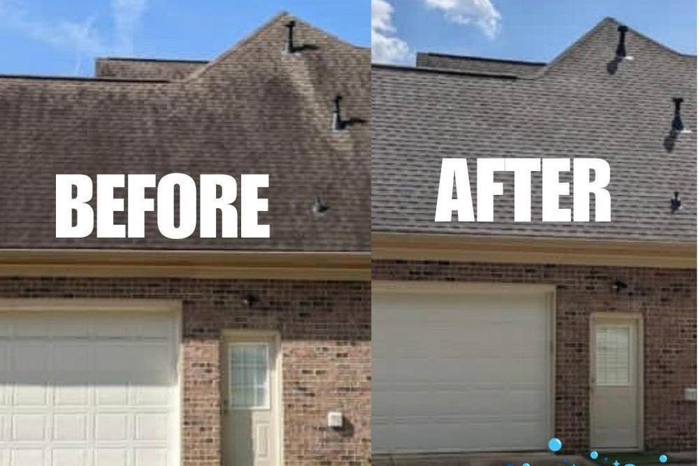 roof cleaning